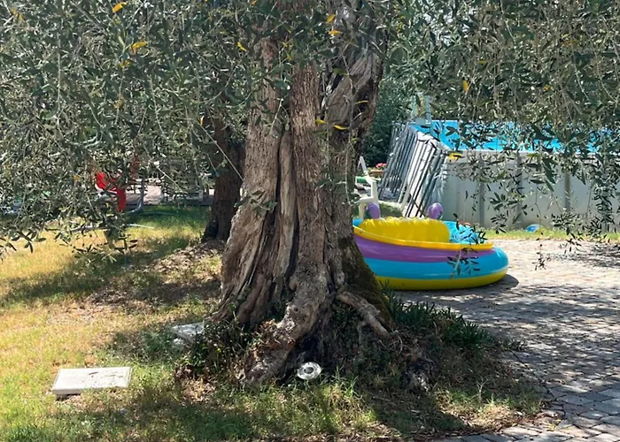 Rifugio Tra Gli Olivi In Campagna Toscana